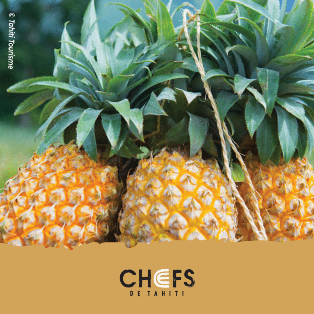 Painapo : L’ananas