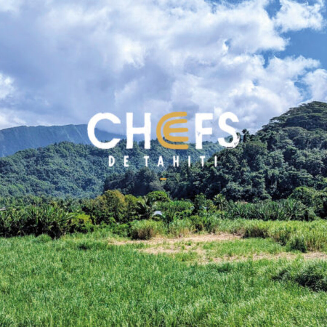 Le rhum de Tahiti : L’âme sucrée de la Polynésie, entre histoire et innovation, un patrimoine à valoriser