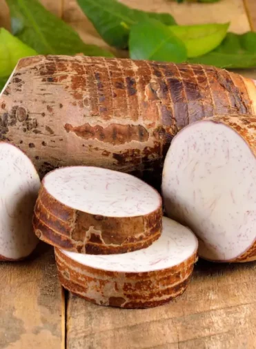 Taro-Copyright-Deenida-shutterstock.jpg