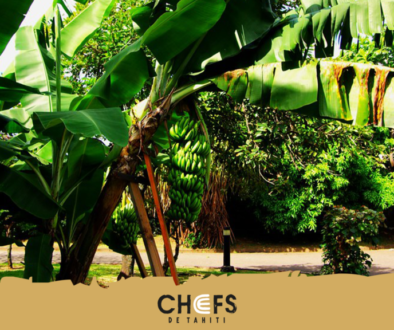 banner banane