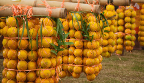 fete-orange-tahiti-punaauia-polynesie-18-1140x660
